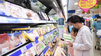 Ho Chi Minh City's economic growth: Breakthrough from stimulating consumption and tourism