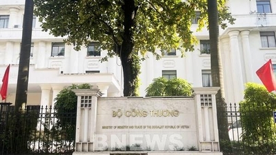 उद्योग और व्यापार मंत्रालय 2026-2030 की अवधि के लिए नई कानूनी रणनीति तैयार कर रहा है