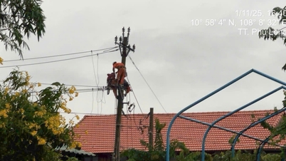 Lâm Đồng khôi phục cấp điện toàn bộ khu vực bị ngập lụt