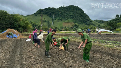 ヴァンバンコミューン警察は、嵐や洪水の被害を受けた人々のためにジャガイモの種を支援