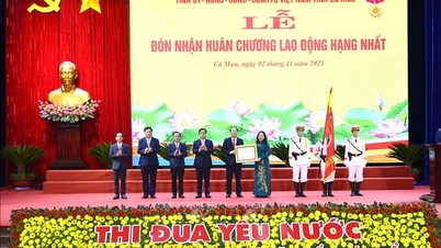 Ca Mau har mange forutsetninger for å bli en grønn vekstpol.