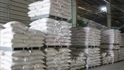 Agricultural market: Export rice prices increase slightly