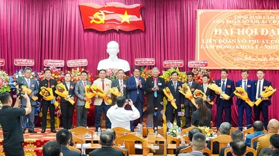 אומנויות לחימה מסורתיות של לאם דונג - יורשת המסורת, קידום עוצמת האינטגרציה