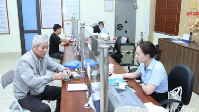 タムホン人民信用基金 - 効果的な資本経路