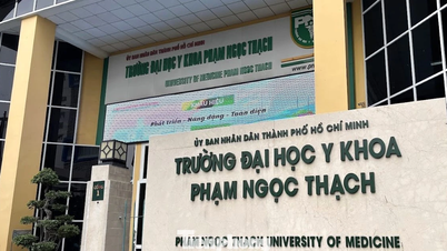 New move of Pham Ngoc Thach University of Medicine after the scandal about the 24-year-old doctoral candidate