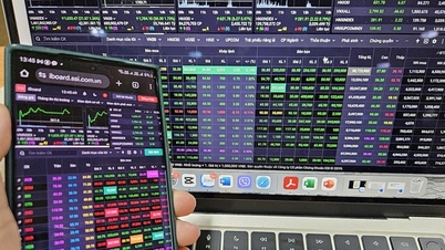 निवेशक फिर से रो रहे हैं, उन्हें डर है कि शेयरों में गिरावट जारी रहेगी