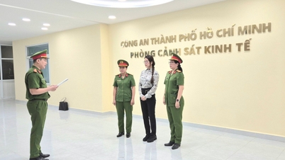 Truong Ngoc Anh - ایک آئیکن کی بدقسمتی پرچی