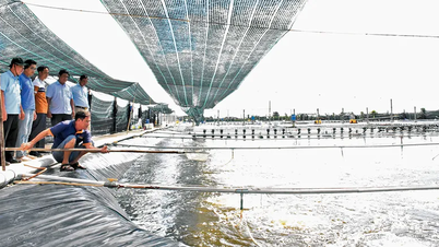 لائ ہوا کمیون میں سمندر کے کنارے کے ساتھ صنعتی جھینگا کاشتکاری کے علاقے میں اب بھی بہت زیادہ ترقی کی صلاحیت موجود ہے۔