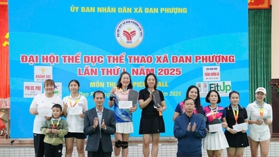 Cerca de 100 atletas de la comuna de Dan Phuong compiten en el torneo de pickleball.