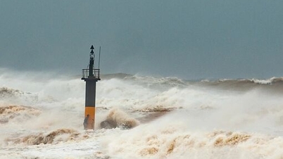 동해, 11월 폭풍 2~3회 '견딜' 가능성