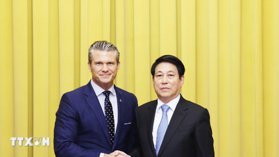 Президент Луонг Куонг приймає військового міністра США