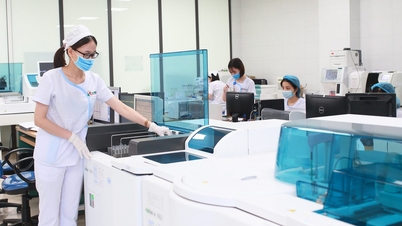 Rangkaian hospital swasta terbesar di kawasan pergunungan Utara melaporkan kerugian; Bagaimana keadaan Tim Tam Duc?