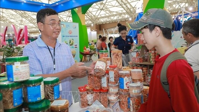 Podzimní trh: Západní říční kuchyně „drží“ turisty