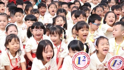 호치민 시는 왜 선진적이고 고품질의 학교를 평가하기 위한 일련의 기준을 계속 시범적으로 시행하고 있을까요?