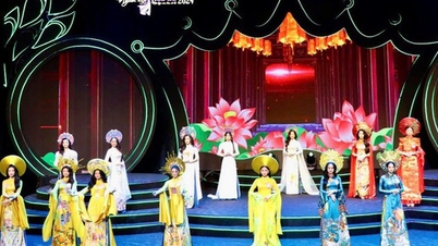 Νιν Μπιν: Διοργάνωση του διαγωνισμού ομορφιάς "Hoa Lu" το 2026