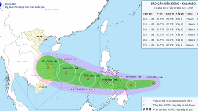 13호 폭풍은 동해에서 매우 위험합니다.