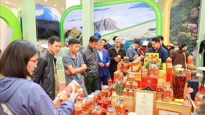 2025 Sonbahar Fuarı'nda cazip 'özellikler'