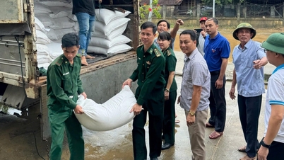 Apportez 5 tonnes de riz pour les habitants de la commune de Thu Bon.
