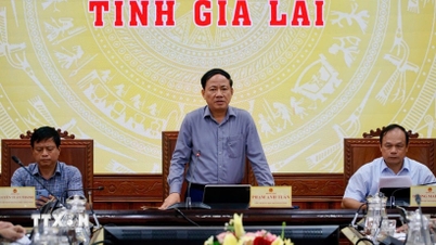 तूफ़ान कालमेगी के और मज़बूत होने की संभावना, जिया लाई ने तूफ़ान से निपटने के उपायों पर चर्चा के लिए तत्काल बैठक की