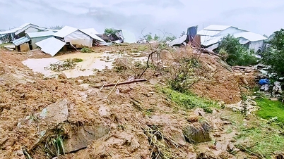 Un deslizamiento de tierra sepulta 6 casas, pero salva una vida