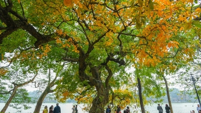 Ханой признан одним из самых дружелюбных городов мира