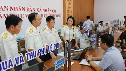 Lam Dong ສຸມ​ໃສ່​ຍູ້​ແຮງ​ການ​ເກັບ​ພາສີ​ອາກອນ