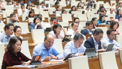 האסיפה הלאומית דנה בהגדלת הניכוי והמס על הכנסה מעסקאות במטילי זהב.