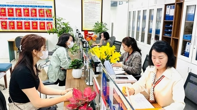 הבטחת יעילות ויעילות של ממשל מקומי דו-מפלסי