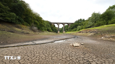 Mikroorganisme tanah “mengingat” kekeringan untuk melindungi tanaman