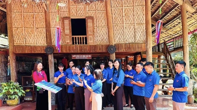 شباب الوطن في رحلة الابتكار