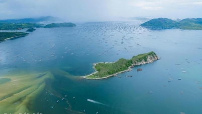 Construindo uma indústria de frutos do mar transparente e responsável