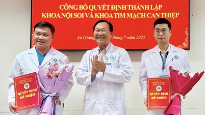 As flores no jardim competem entre si.