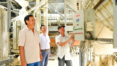 Desenvolvimento econômico privado em Vinh Phong