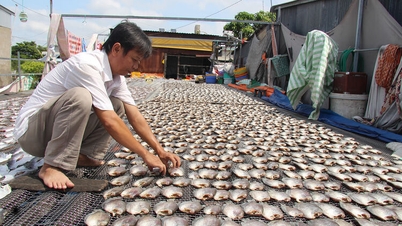 Dry village "red eyes" looking for fish