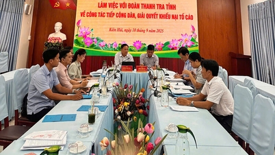 Check and urge the reception of citizens, settlement of complaints and denunciations