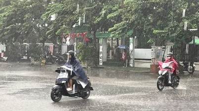 آب و هوا در ۳ نوامبر: منطقه شمالی بارانی و هوا سرد است، در مناطق کوهستانی دما به زیر ۱۵ درجه سانتیگراد می‌رسد