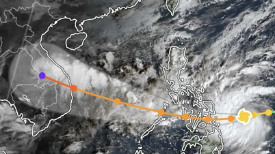 কালমায়েগি ঝড়ের প্রতিক্রিয়ায় ১৭টি এলাকা জরুরি ভিত্তিতে সাড়া দিচ্ছে