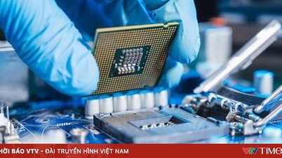 Trung Quốc sẽ miễn một số chip Nexperia khỏi lệnh cấm xuất khẩu