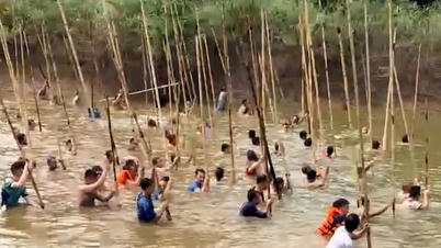 ទំនៀមទម្លាប់ពិសេសនៃការនេសាទត្រីជាមួយបង្គោលនៅ Tich Giang