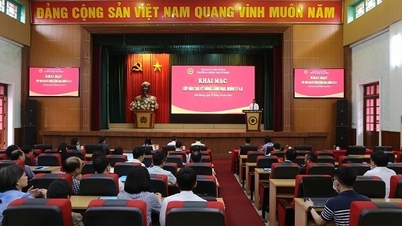 Hai Phong förbättrar ledarskaps- och managementfärdigheter i den digitala tidsåldern