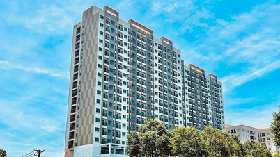 Đồng Nai: 8 dự án nhà ở xã hội được vay vốn tín dụng ưu đãi