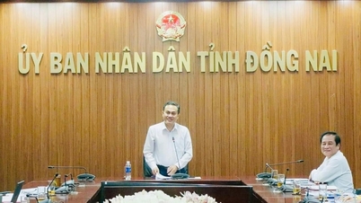 El seguro social de la provincia de Dong Nai se centra en el cumplimiento de los objetivos.