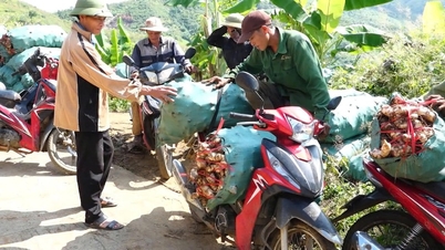 Sin Suoi Ho: economische ontwikkeling door landbouw en gemeenschapstoerisme