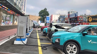 Ciudad Ho Chi Minh acelera la transformación verde en el transporte