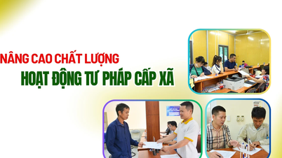 Verbetering van de kwaliteit van de gerechtelijke activiteiten op gemeentelijk niveau