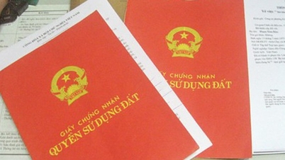¿Qué condiciones deben cumplirse para la primera concesión de derechos de uso de la tierra?