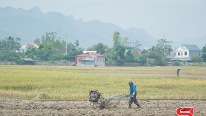 Schaffen Sie gute Bedingungen für die Winterkulturproduktion