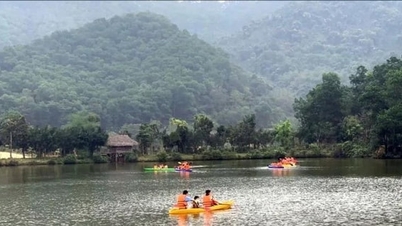 មូលនិធិការពារ និងអភិវឌ្ឍន៍ព្រៃឈើ៖ ការចែករំលែកអត្ថប្រយោជន៍ក្នុងការអភិរក្ស "សួតបៃតង"