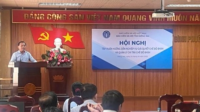 Seguro Social Dong Nai: Capacitación sobre técnicas de liquidación del régimen de seguro social