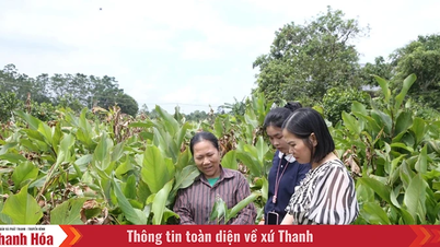 تعاونی‌ها به افزایش ارزش محصولات کشاورزی کمک می‌کنند